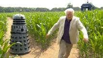 Elvington Maize Maze - Chase! (Credit: BBC)