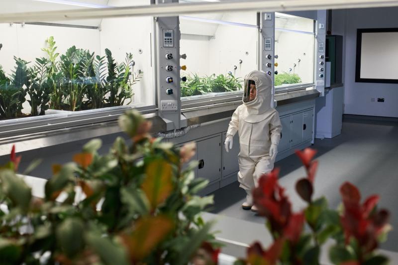 The Pyramid At The end Of The World: Erica (Rachel Denning) (Credit: BBC/BBC Worldwide (Simon Ridgway))