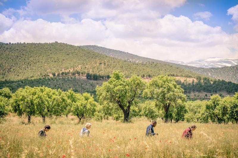 Demons Of The Punjab: Yaz (Mandip Gill), The Doctor (Jodie Whittaker), Ryan (Tosin Cole), Graham (Bradley Walsh) (Credit: BBC Studios (Ben Blackall))