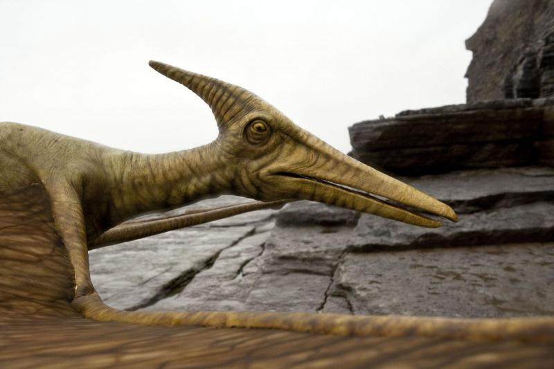 Dinosaurs on a Spaceship. Photo: BBC