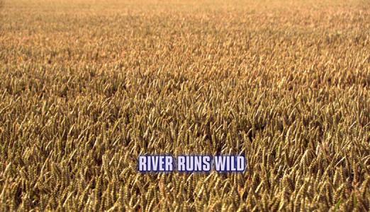 Doctor Who: River Runs Wild